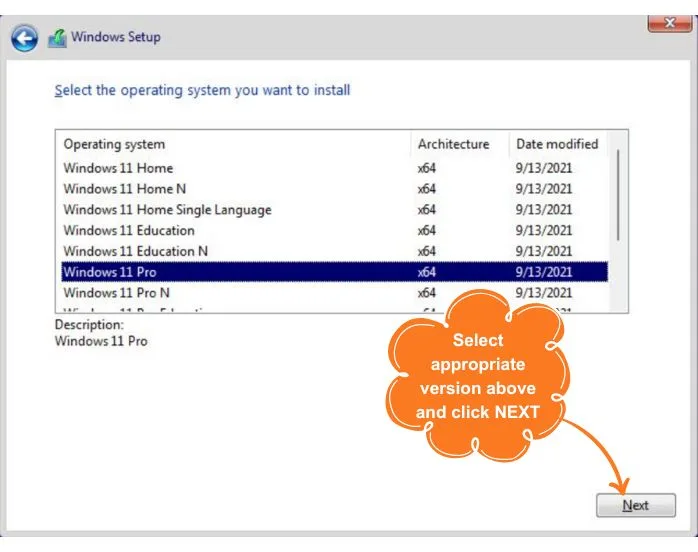 Select the version of Windows 11 that you want to install and click Next.