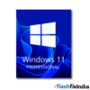 Windows 11 Pro Product Key