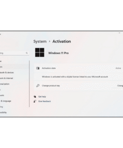 Windows 11 Pro Active Status